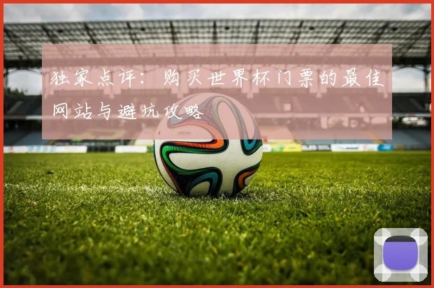 独家点评：购买世界杯门票的最佳网站与避坑攻略