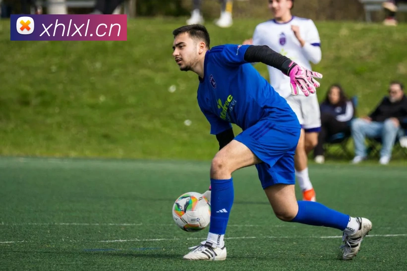 App Interface Preview